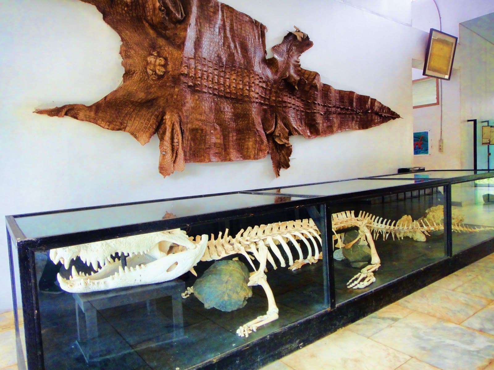 Puerto Princesa City Tour - 2