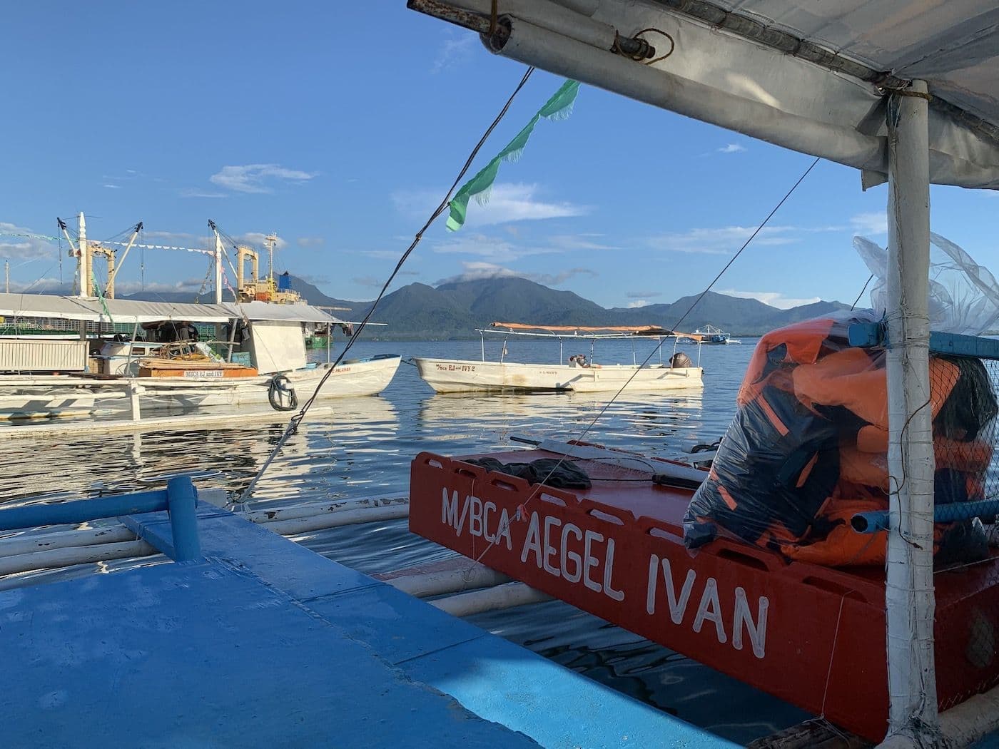 Swim With The Whale Sharks in Puerto Princesa - 2