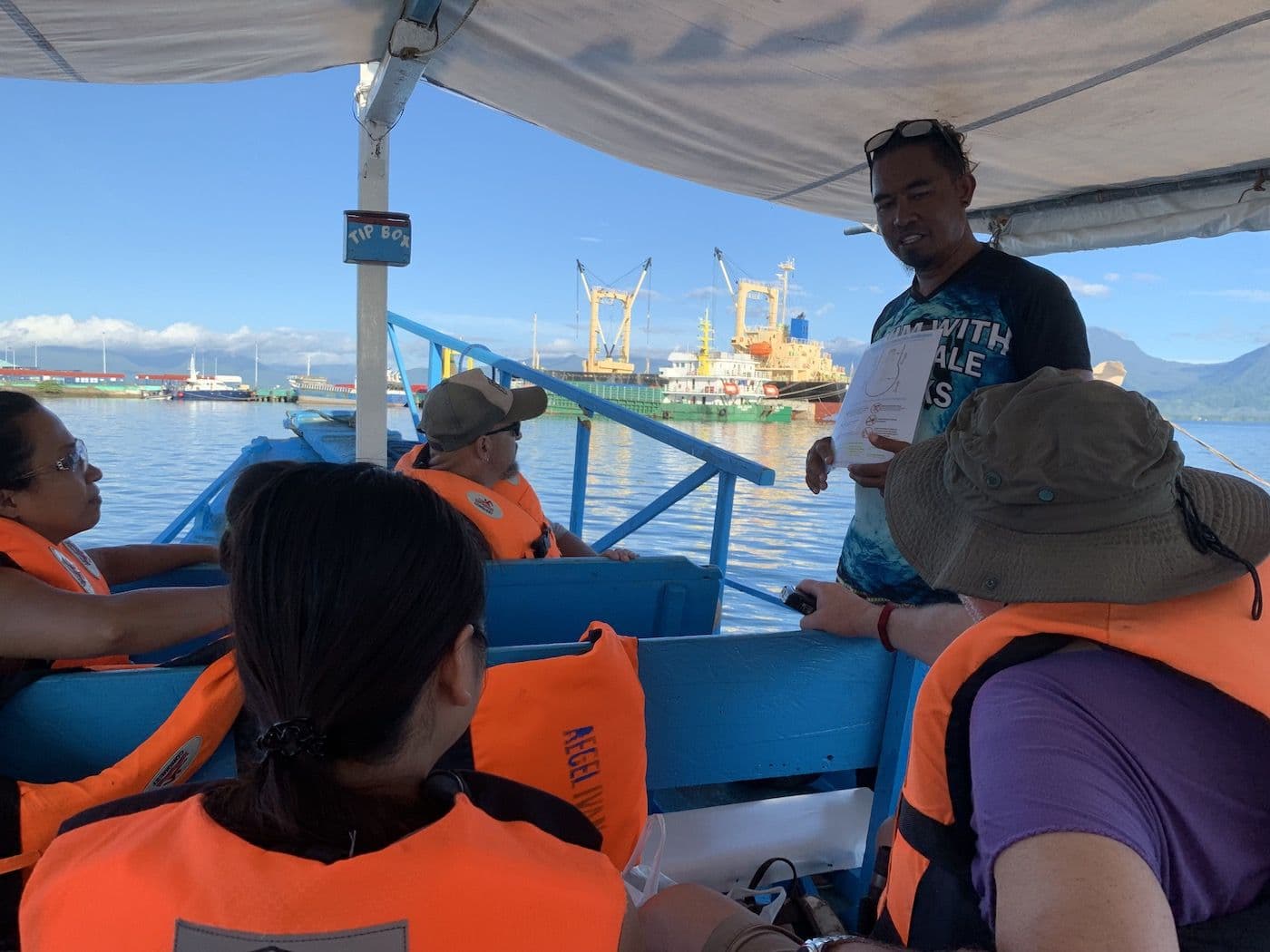 Swim With The Whale Sharks in Puerto Princesa - 3