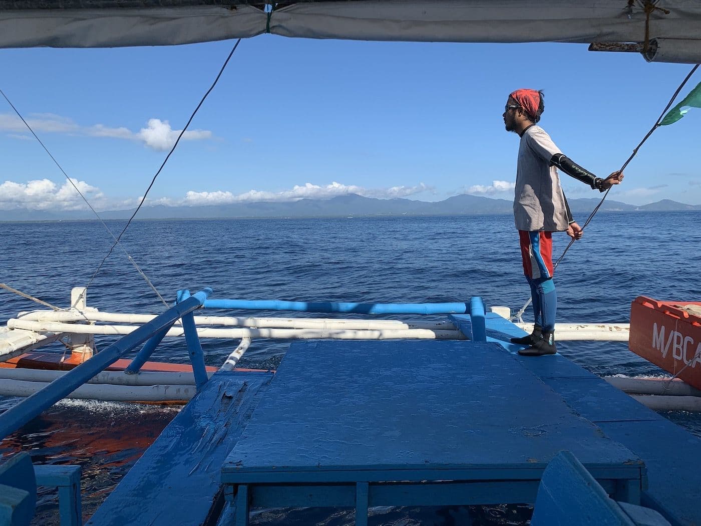 Swim With The Whale Sharks in Puerto Princesa - 4