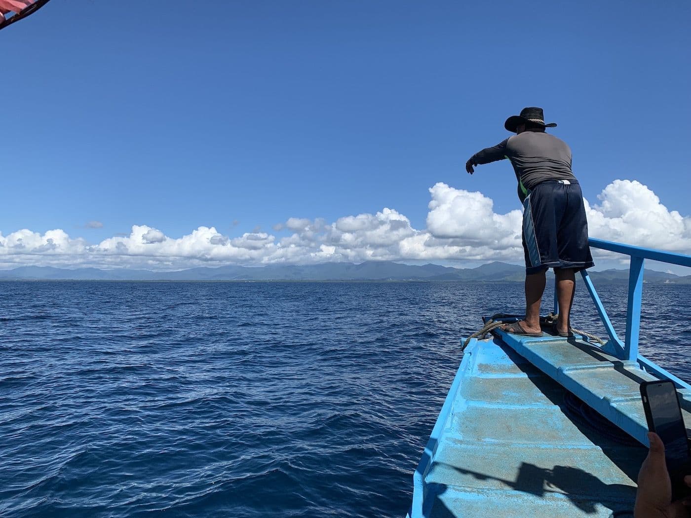 Swim With The Whale Sharks in Puerto Princesa - 5
